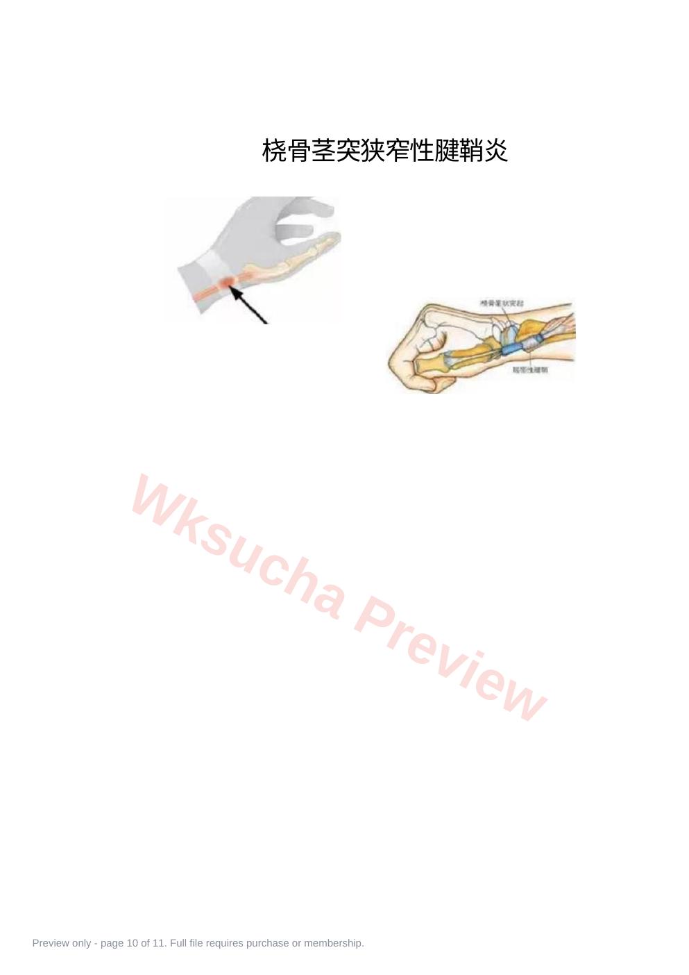 预览第 10 页