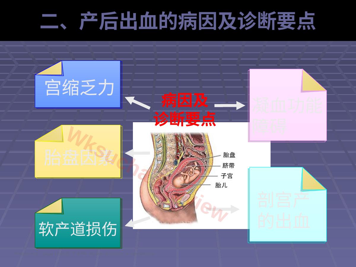 预览第 12 页
