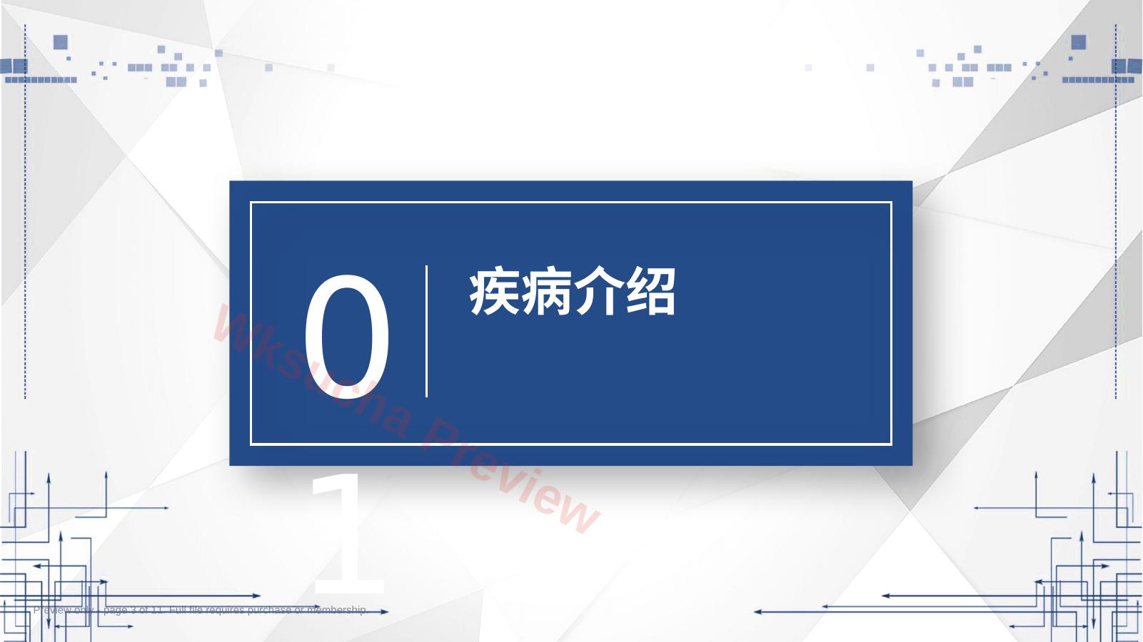 预览第 3 页