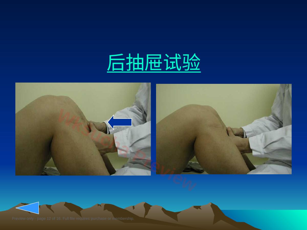 预览第 12 页