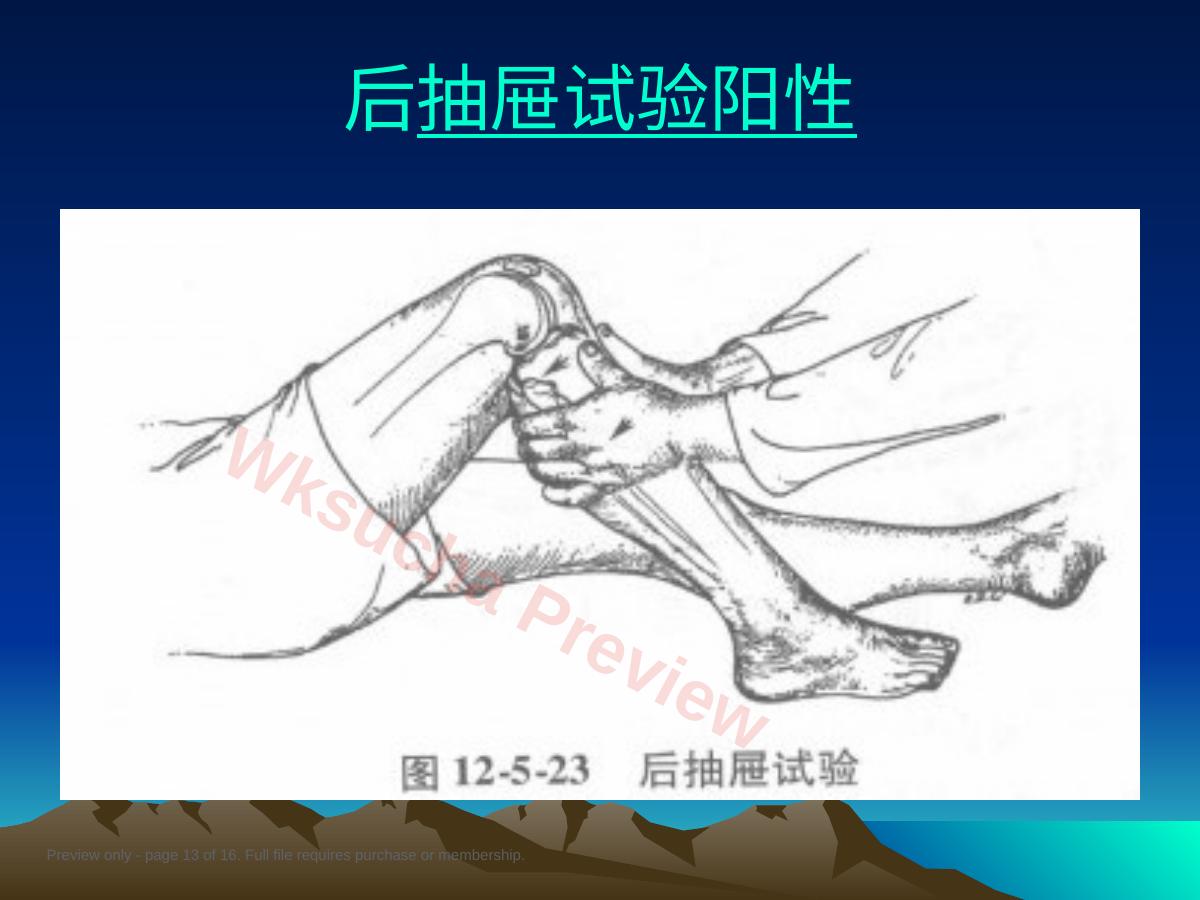 预览第 13 页