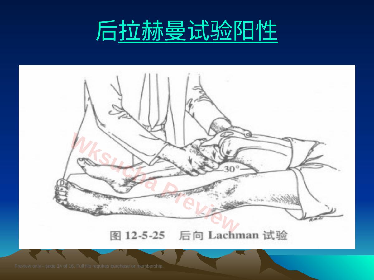 预览第 14 页