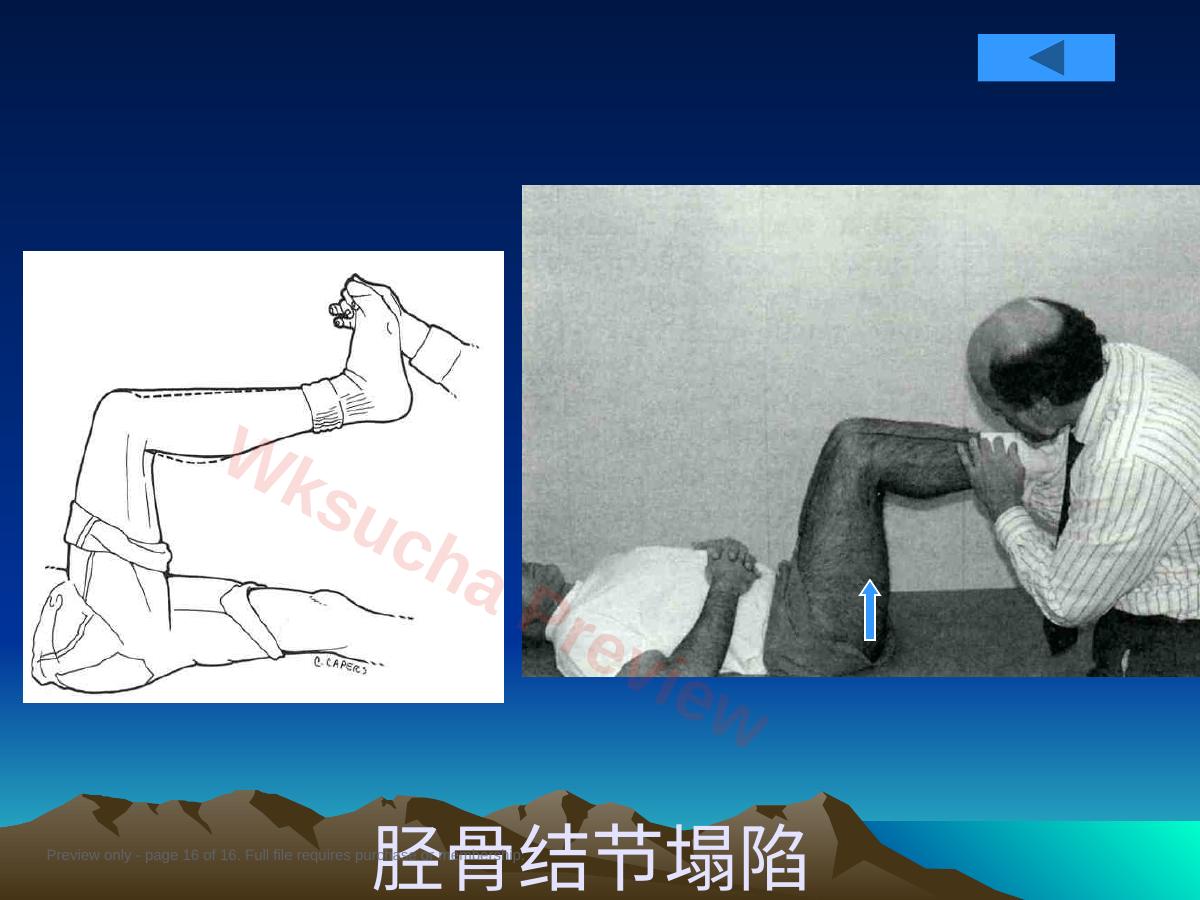 预览第 16 页