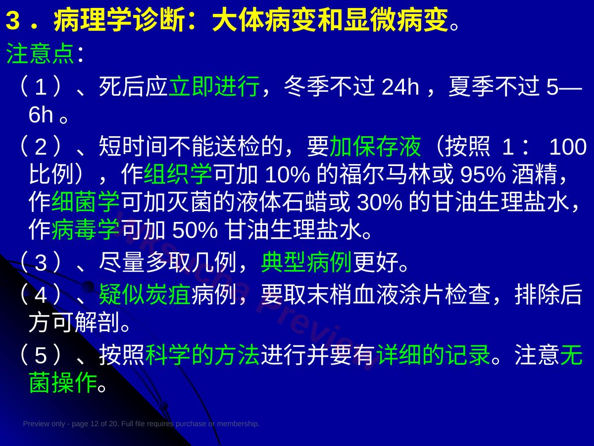 预览第 12 页