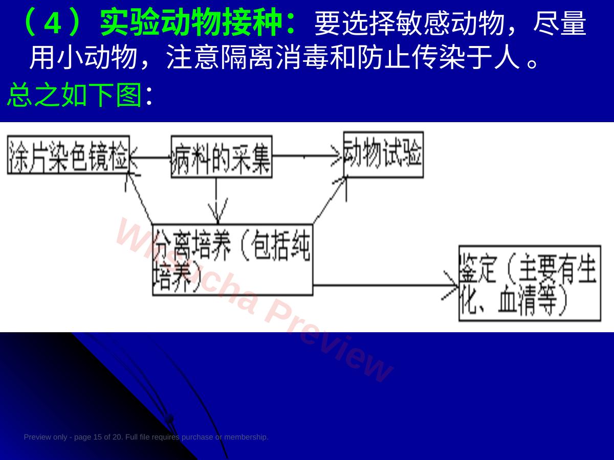 预览第 15 页