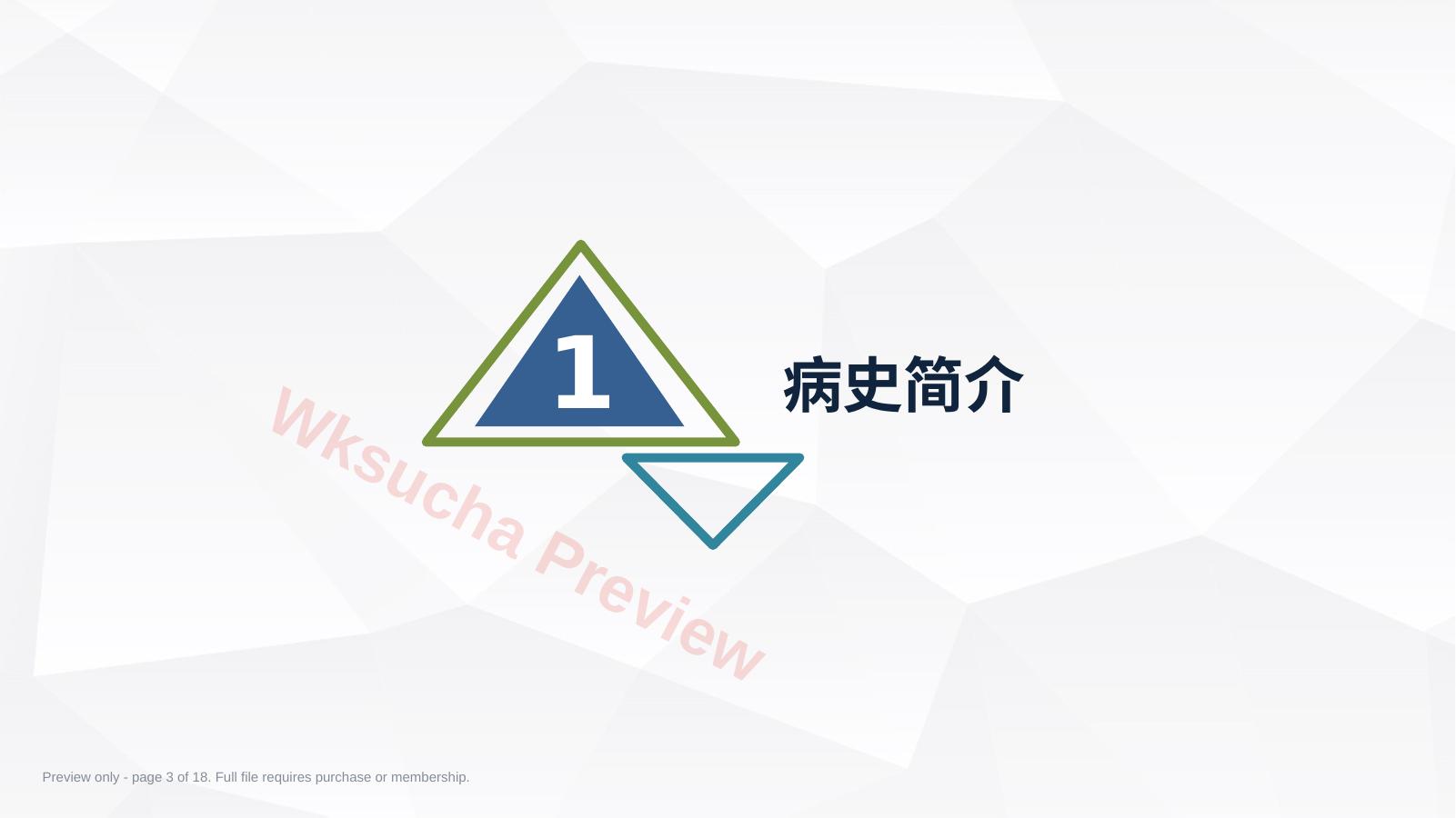 预览第 3 页
