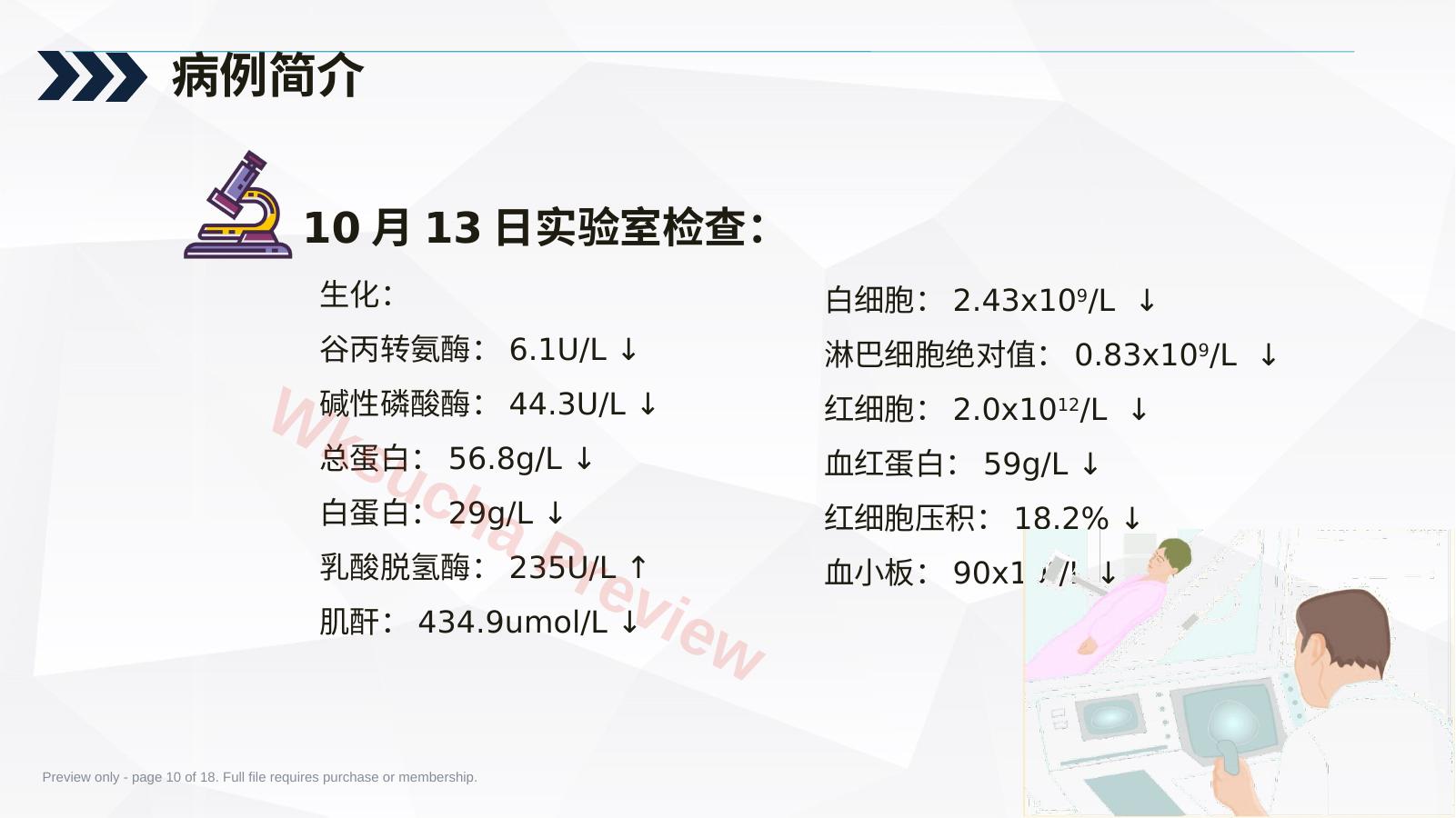 预览第 10 页