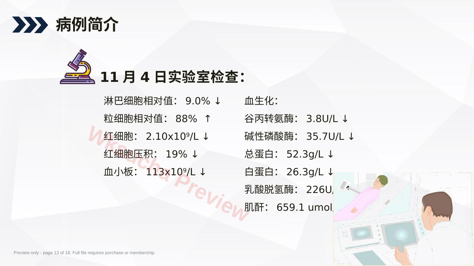 预览第 13 页