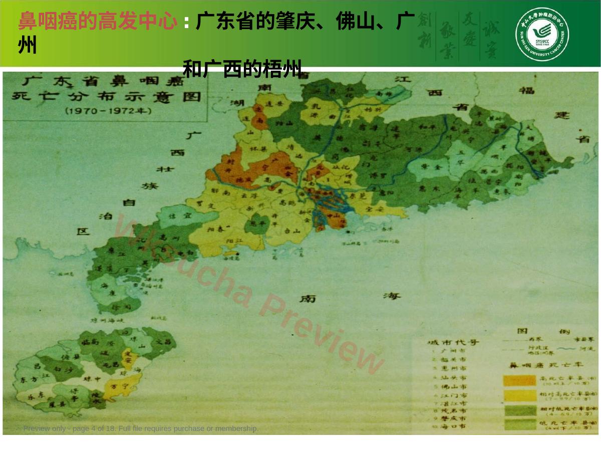 预览第 4 页