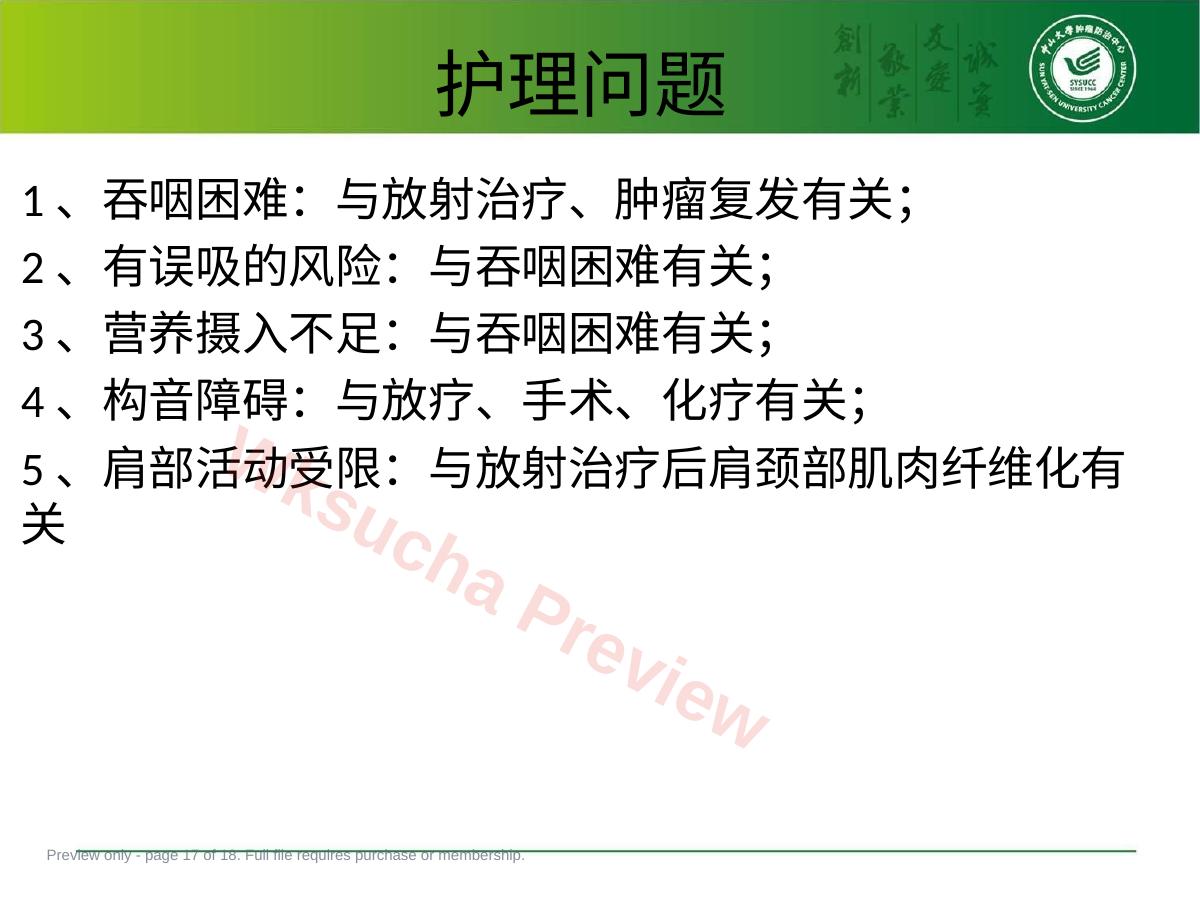 预览第 17 页