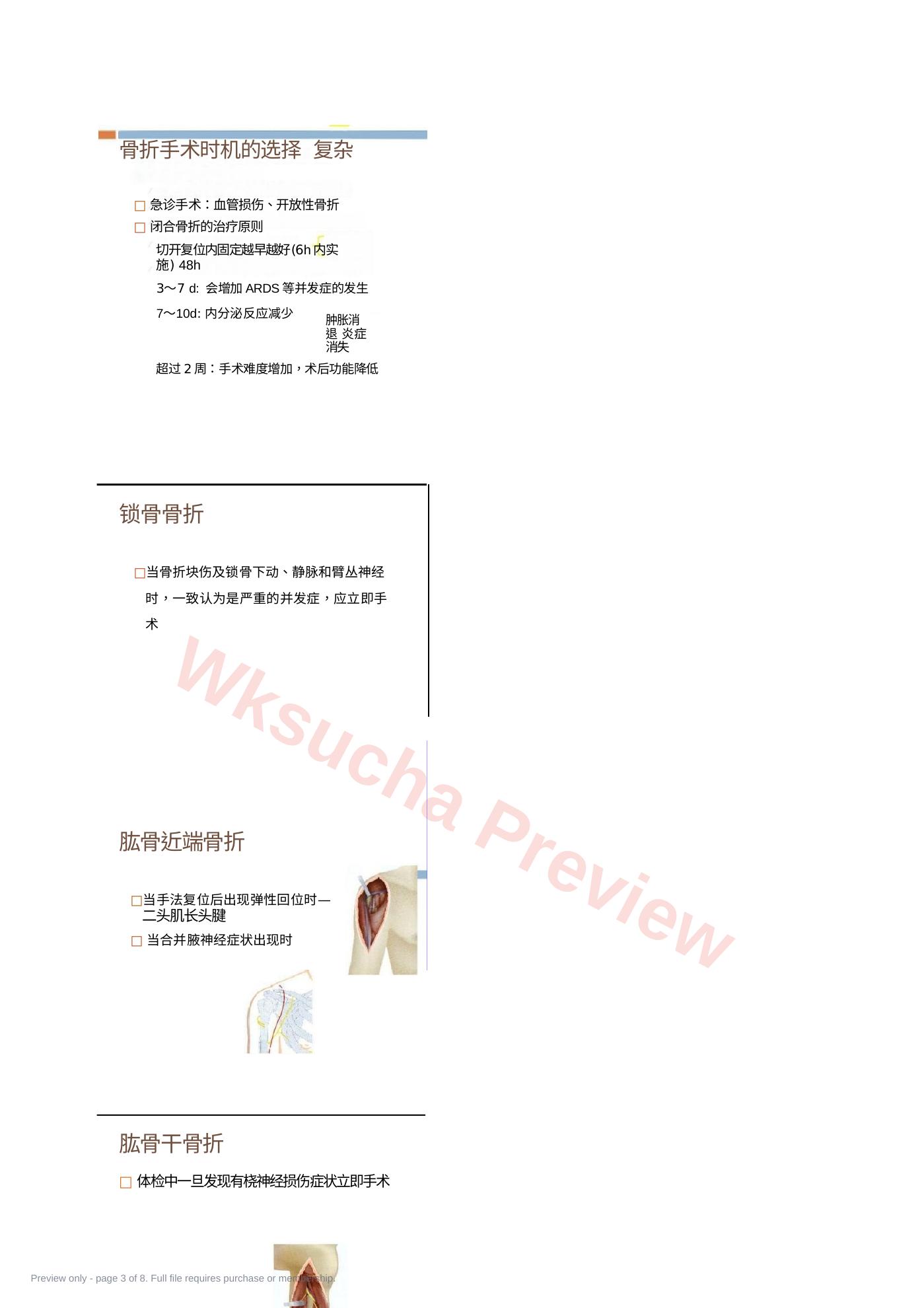 预览第 3 页