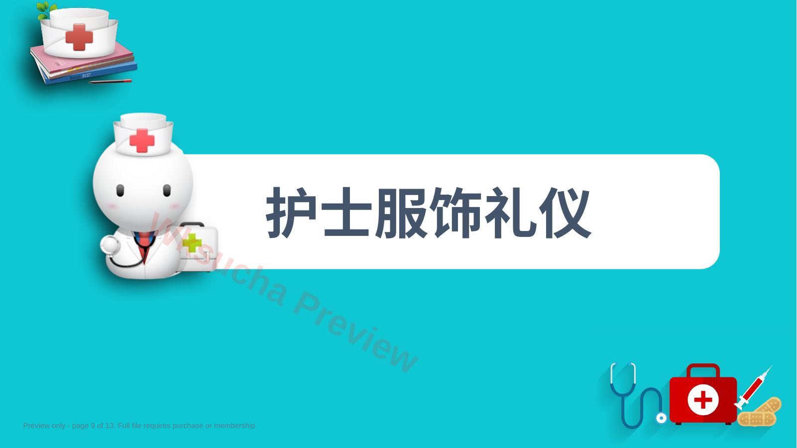 预览第 9 页