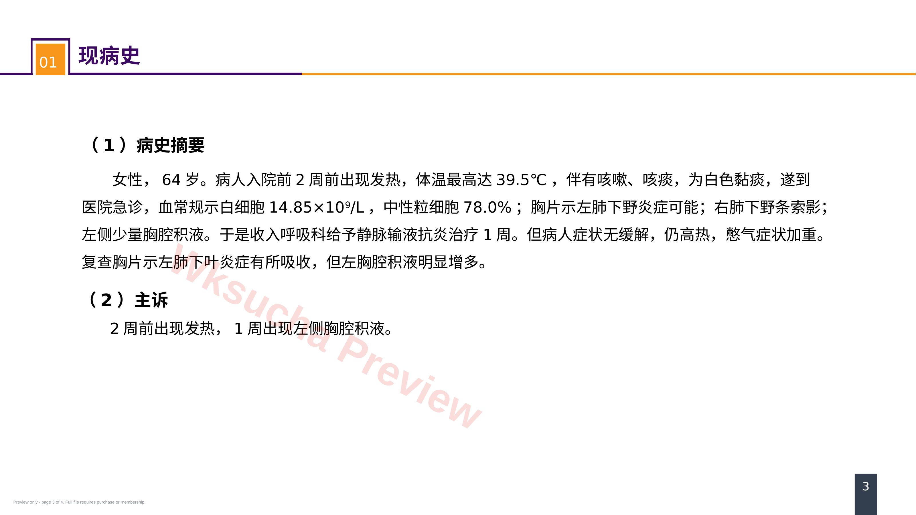 预览第 3 页