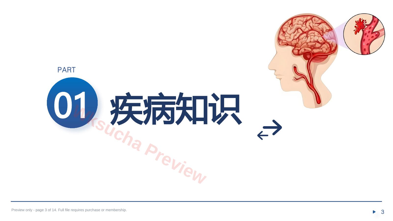 预览第 3 页
