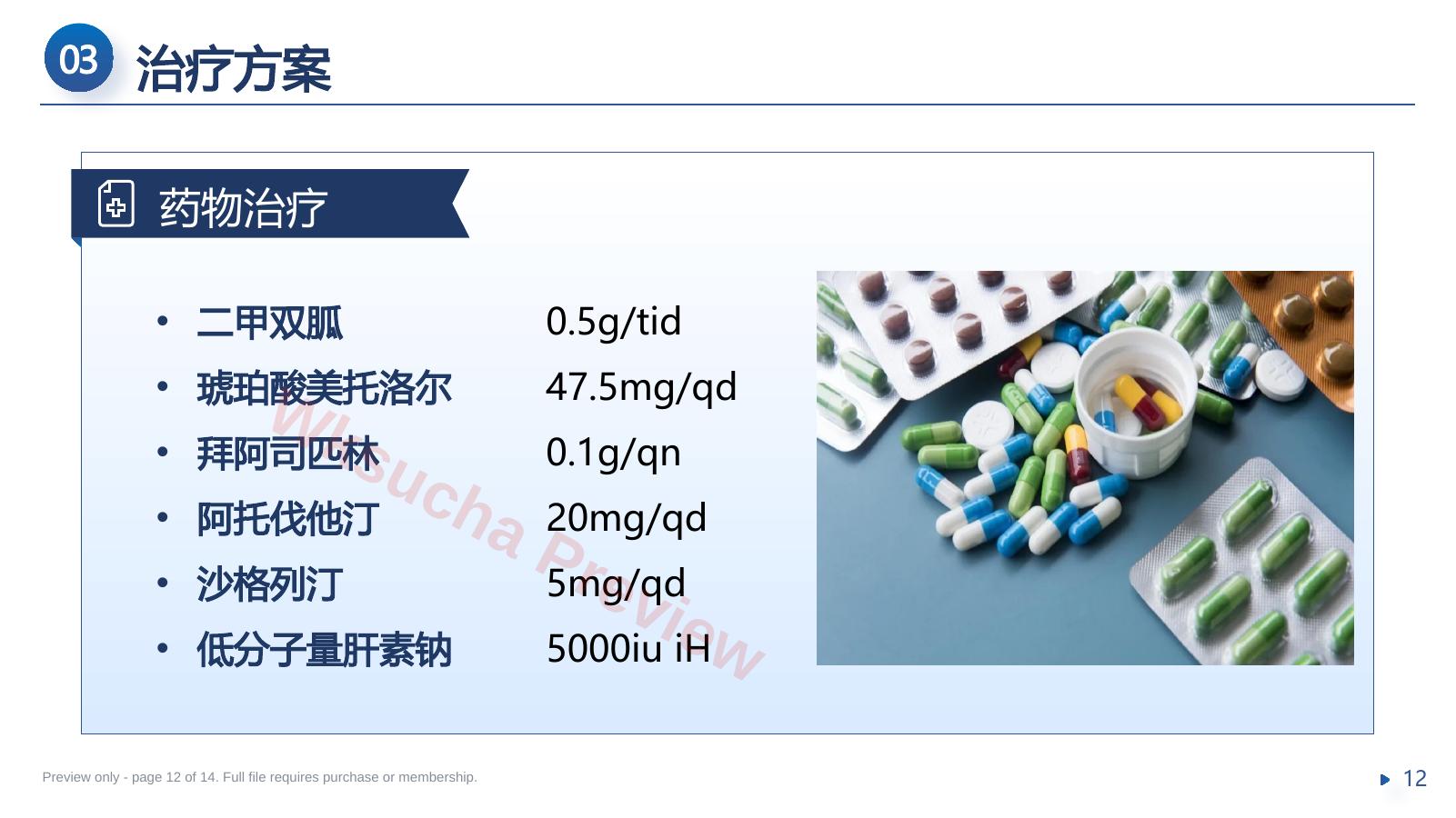 预览第 12 页