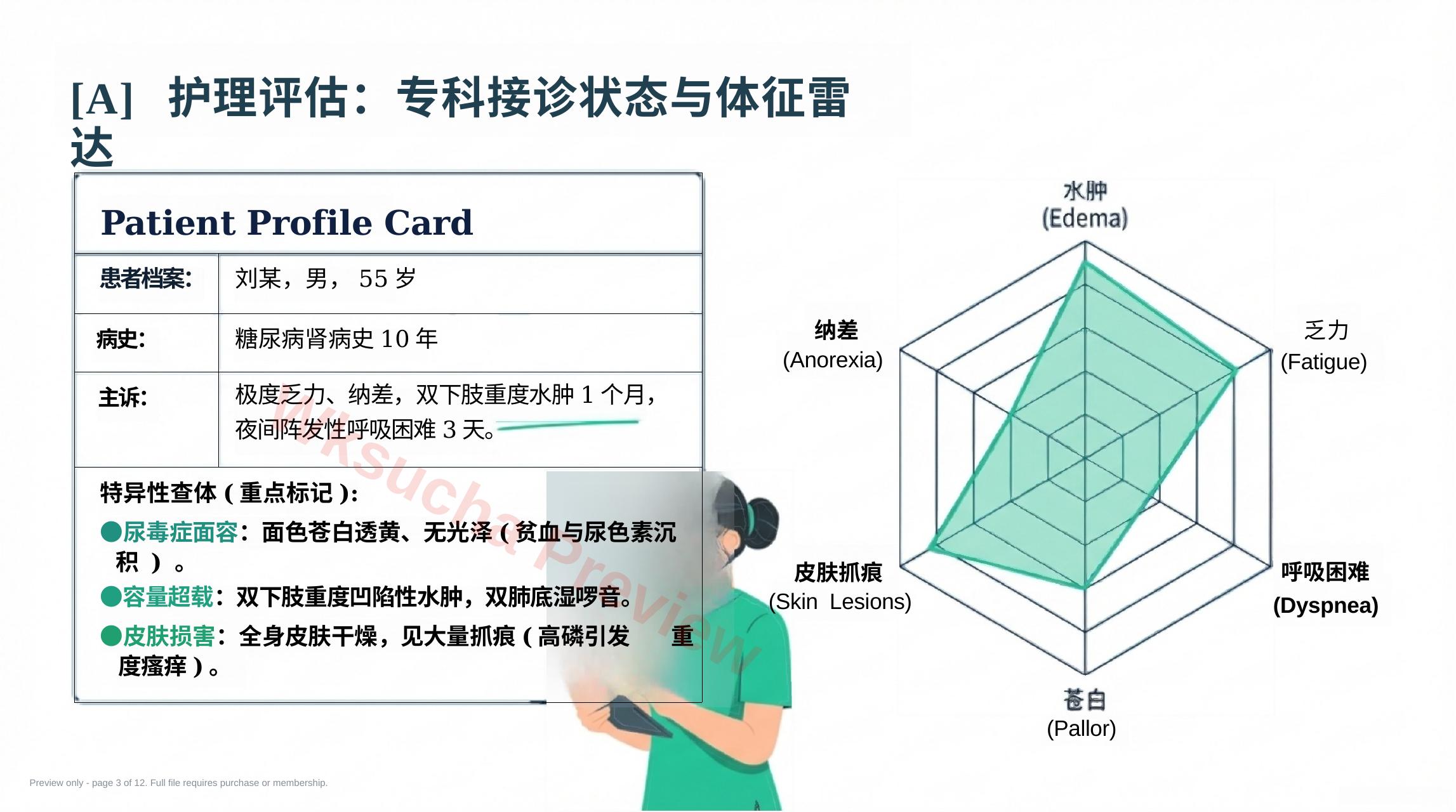预览第 3 页