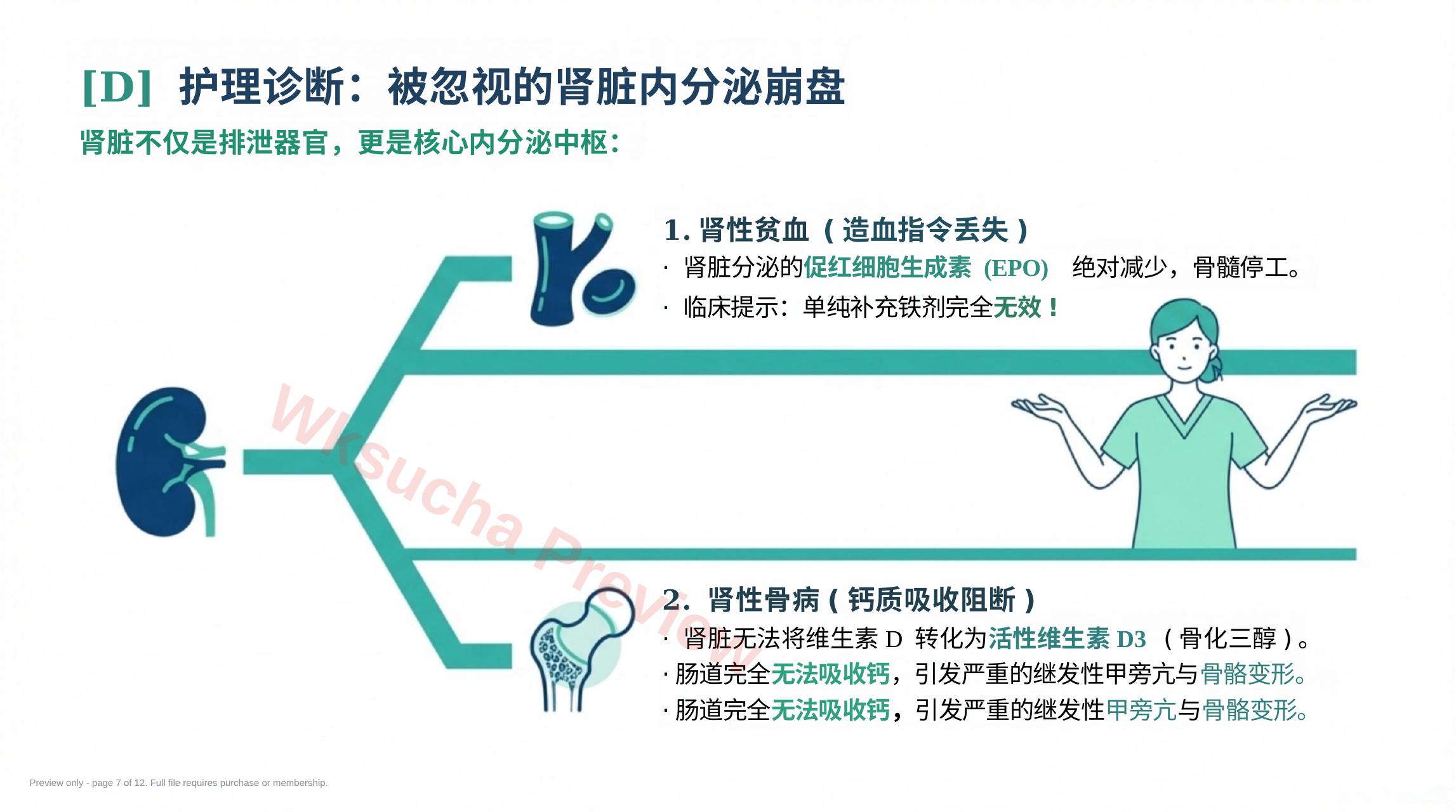 预览第 7 页