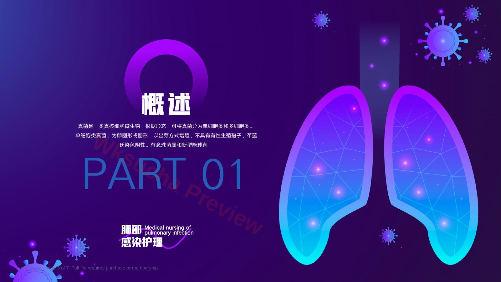 预览第 3 页