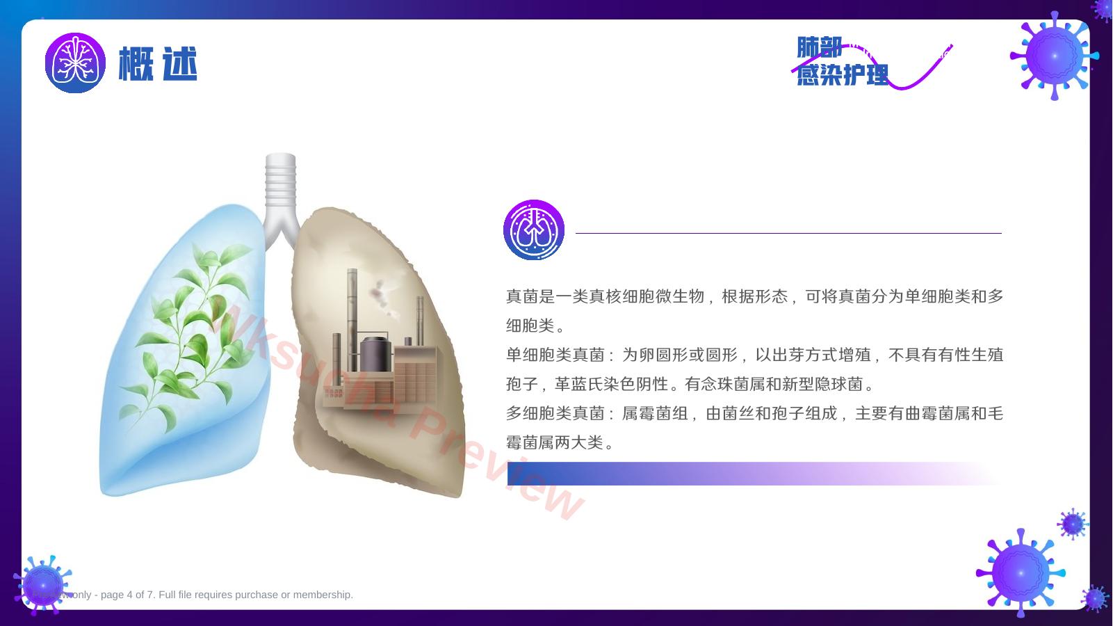 预览第 4 页