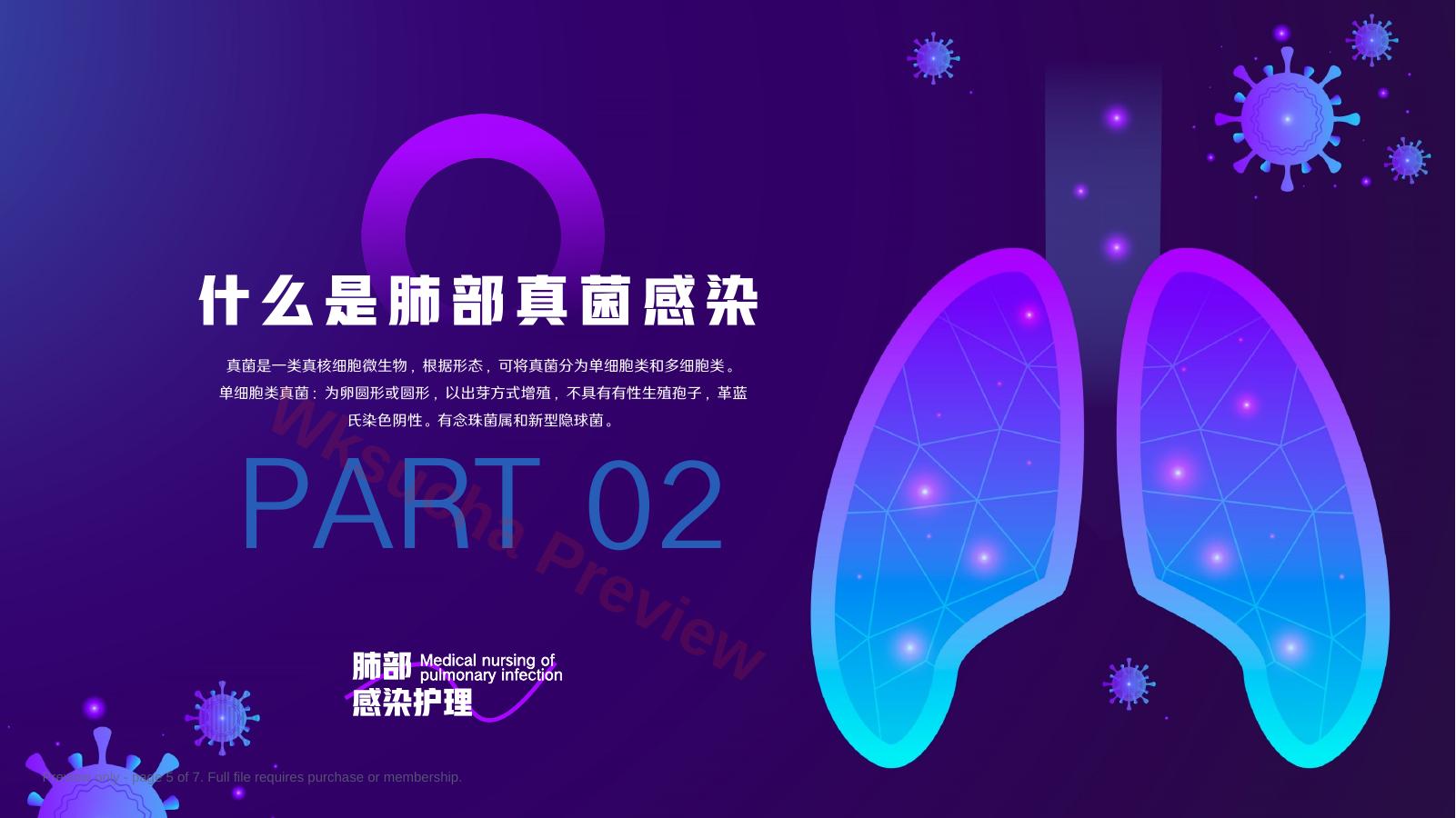 预览第 5 页
