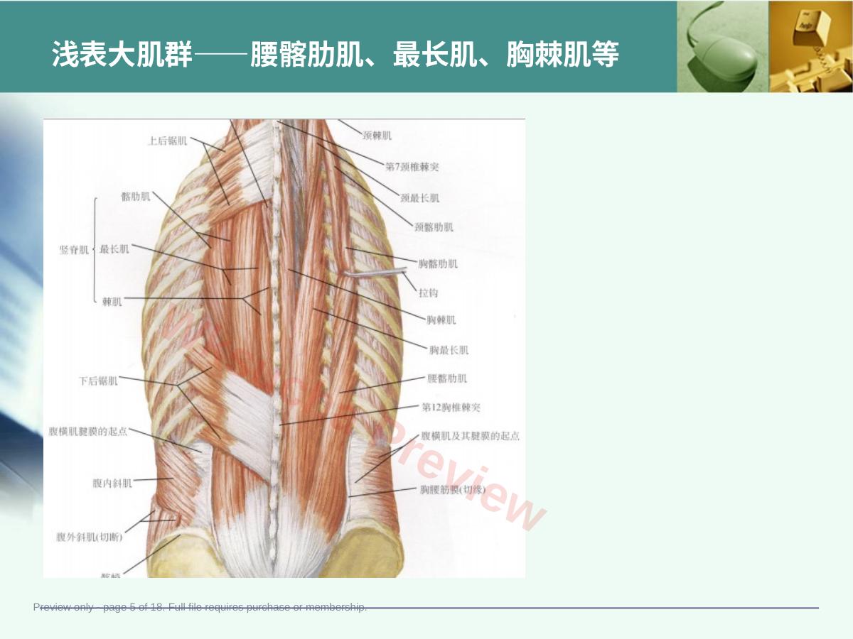 预览第 5 页