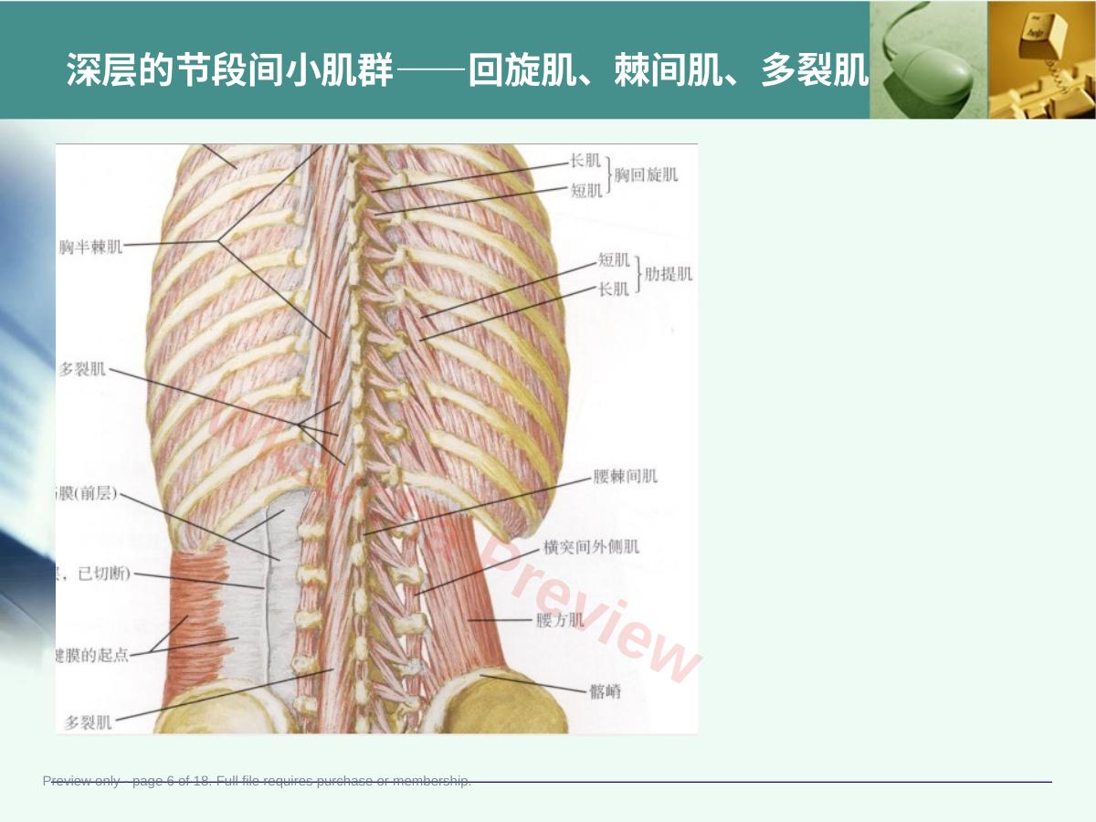 预览第 6 页