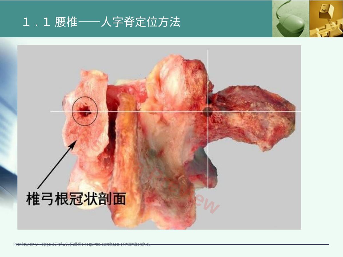 预览第 15 页