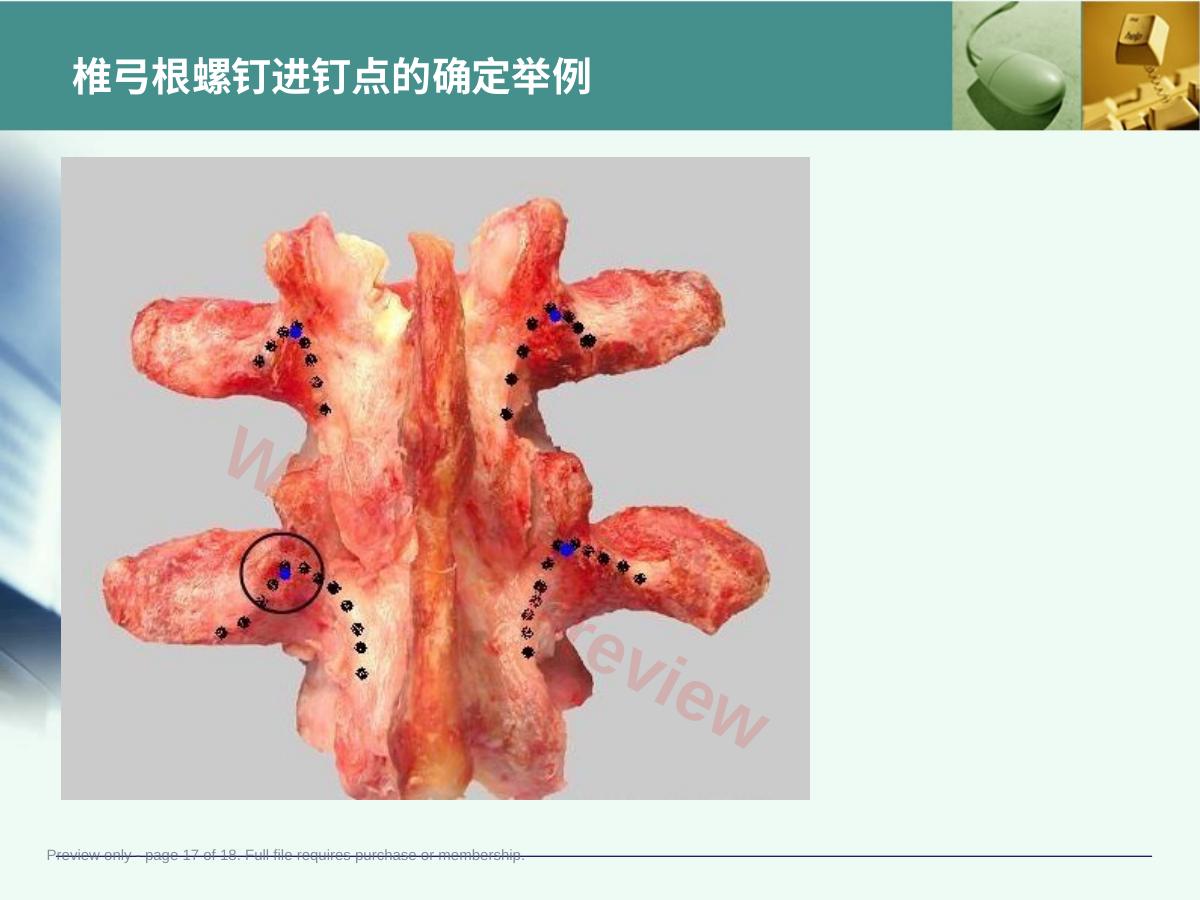 预览第 17 页