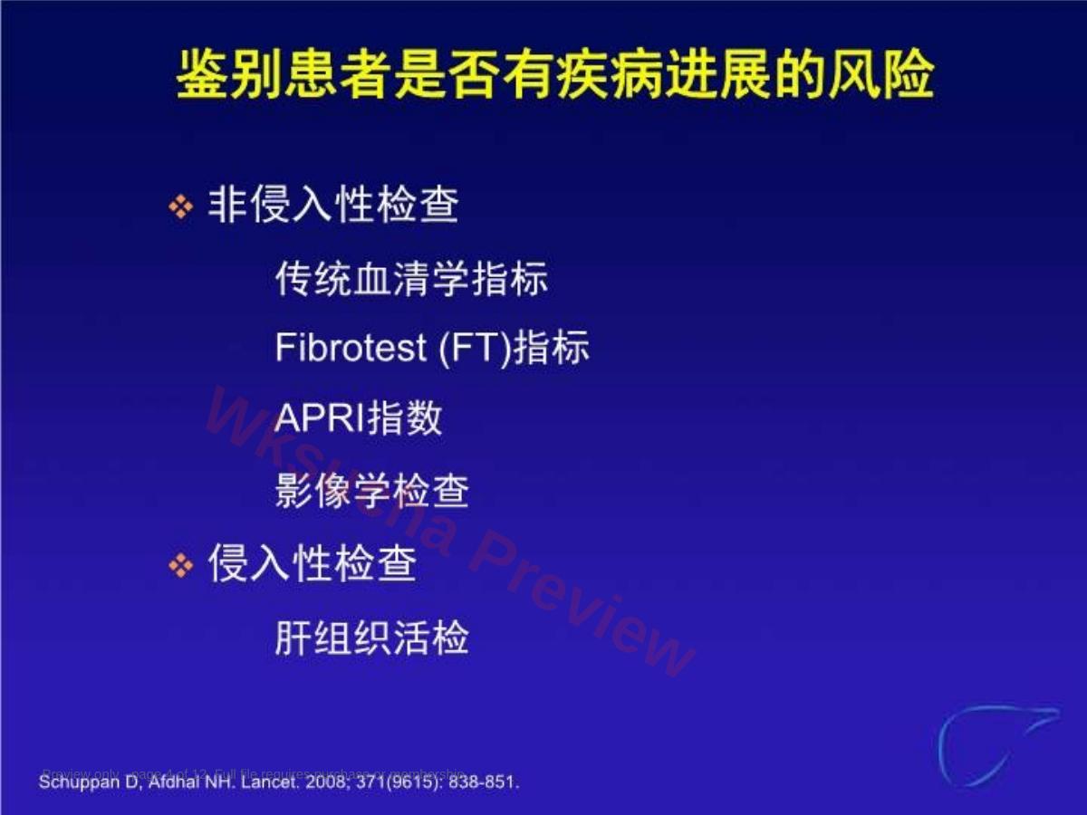 预览第 4 页