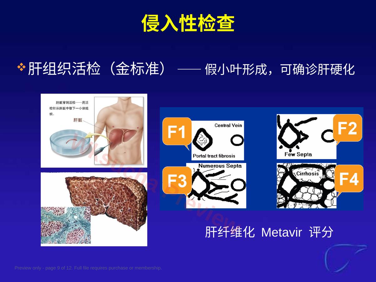 预览第 9 页