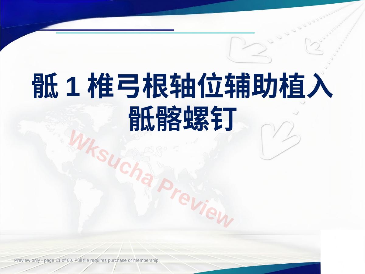 预览第 11 页