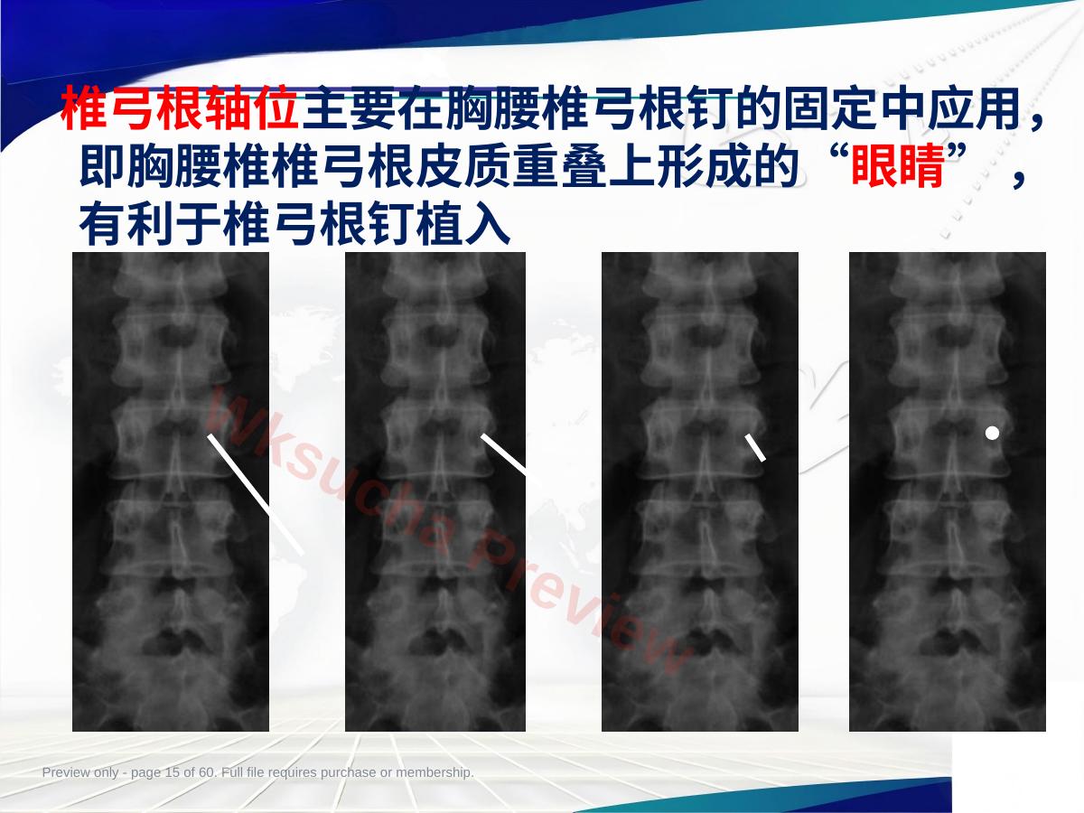 预览第 15 页