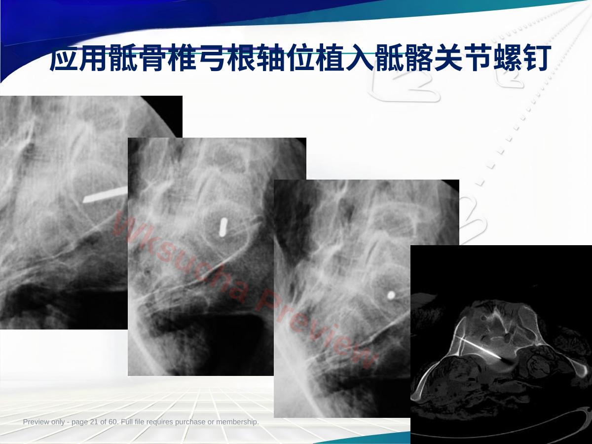 预览第 21 页