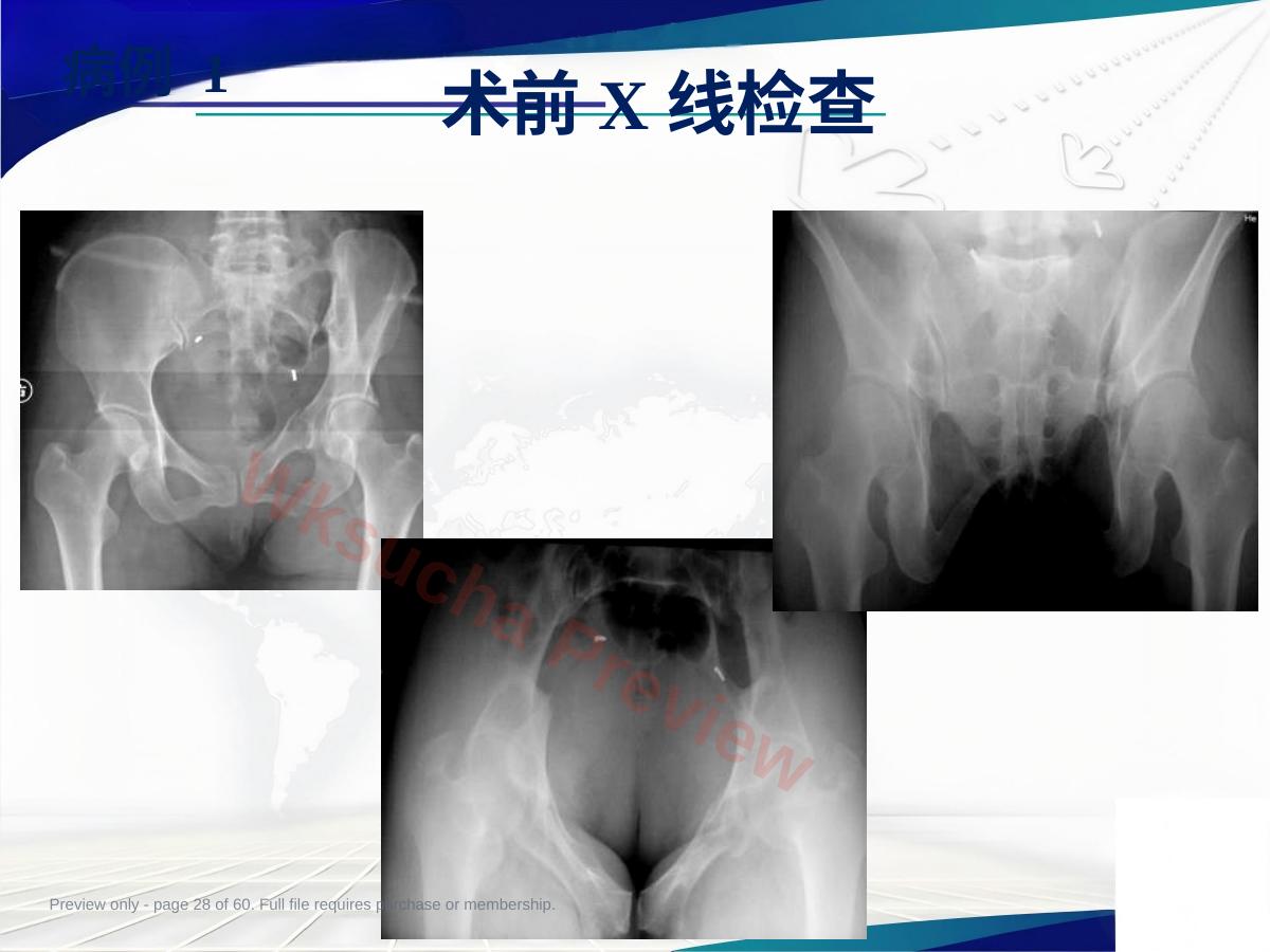 预览第 28 页