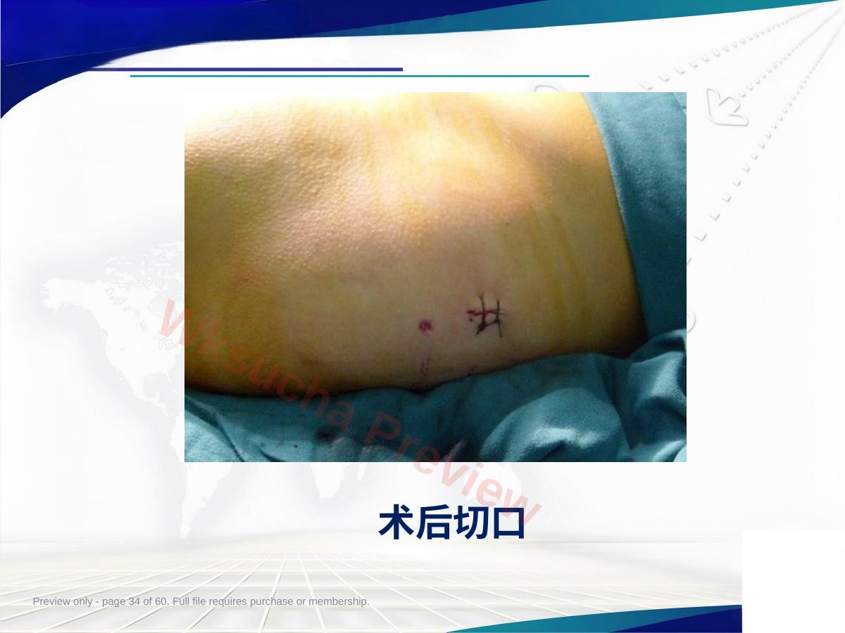 预览第 34 页