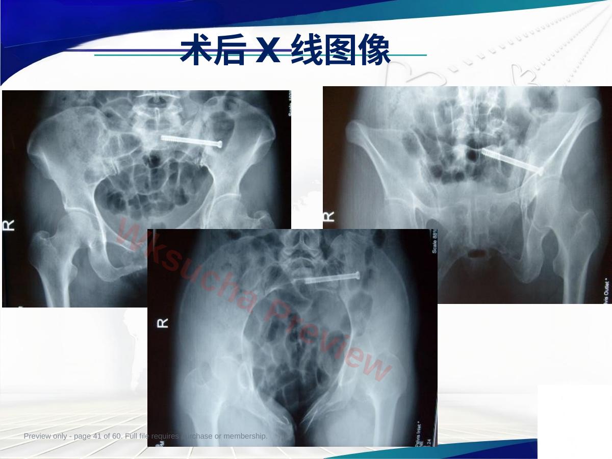 预览第 41 页