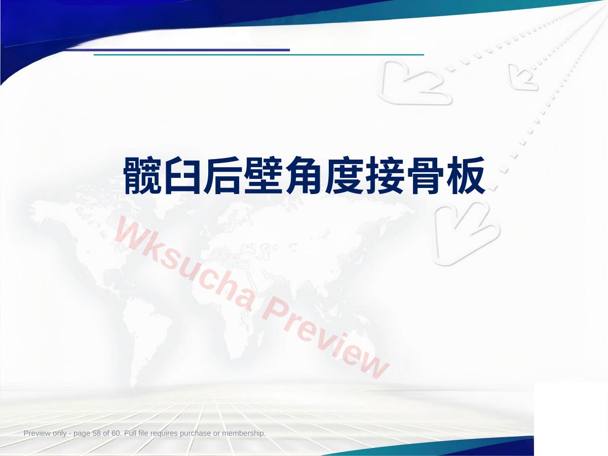 预览第 58 页