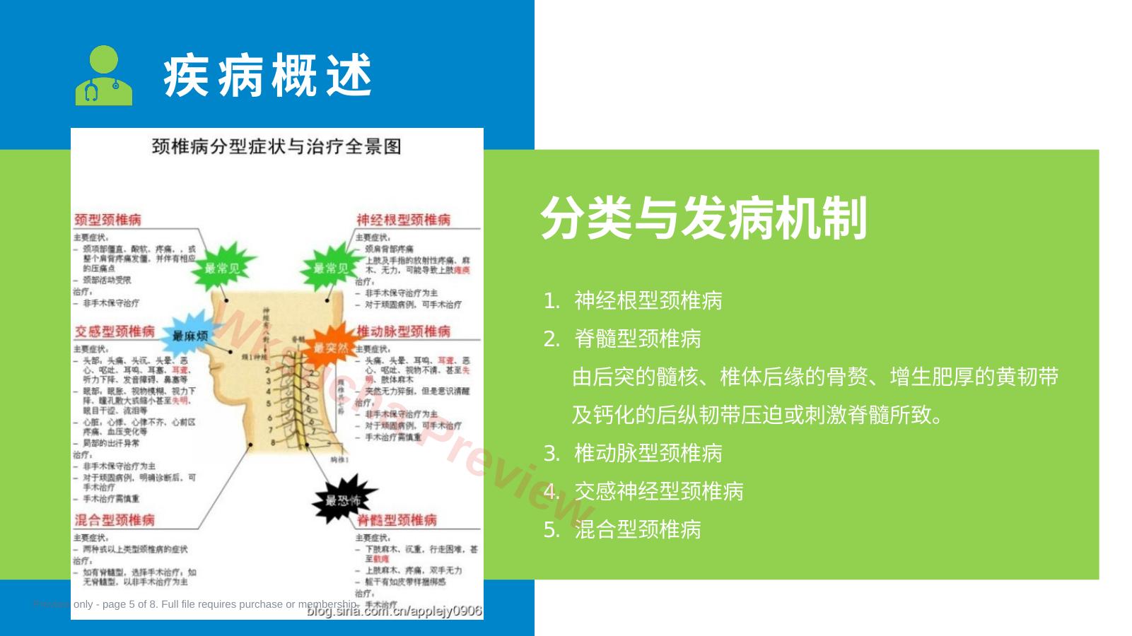 预览第 5 页
