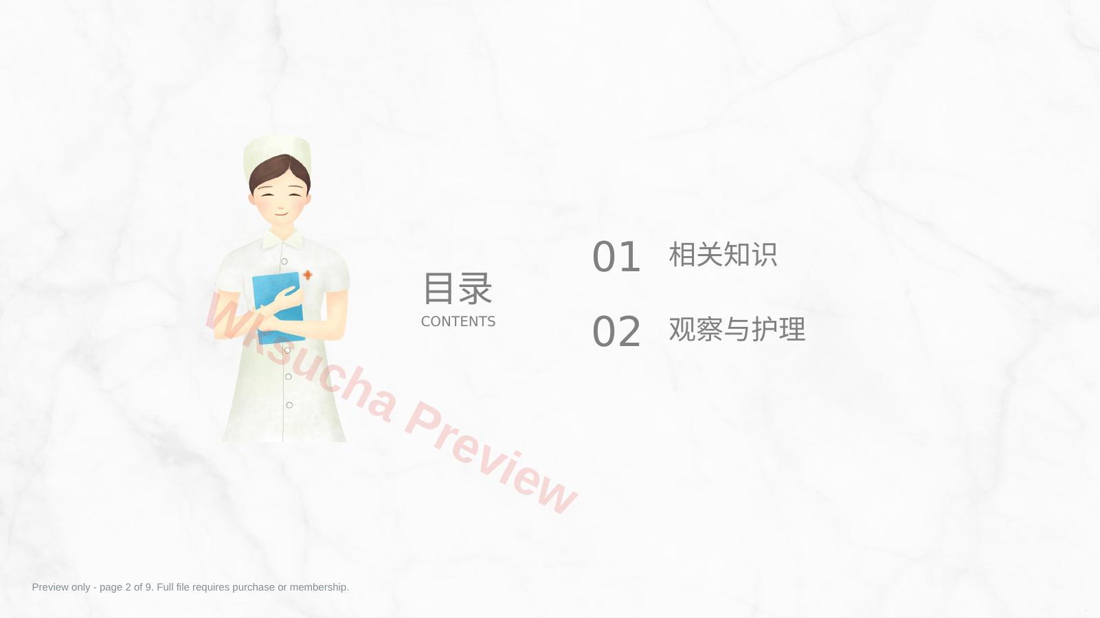 预览第 2 页