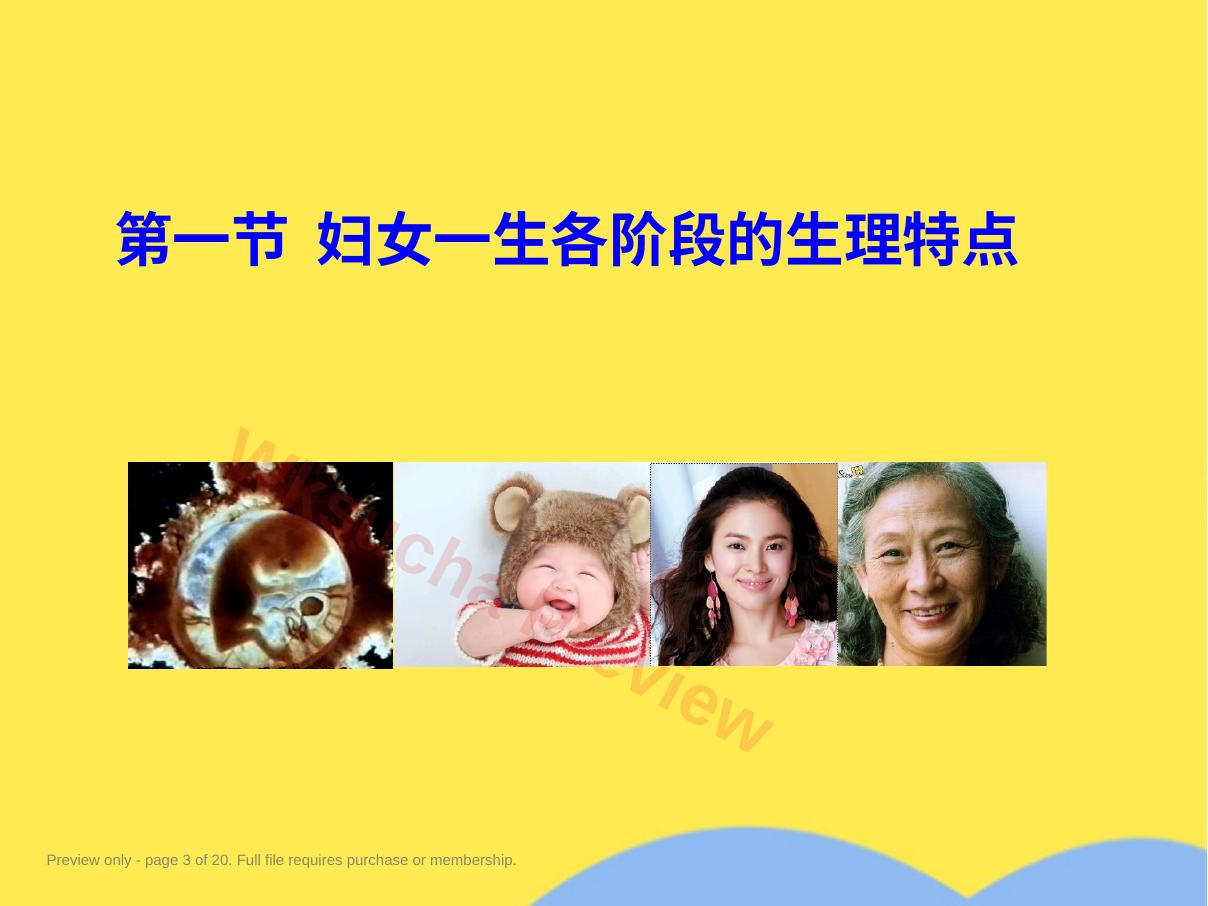 预览第 3 页
