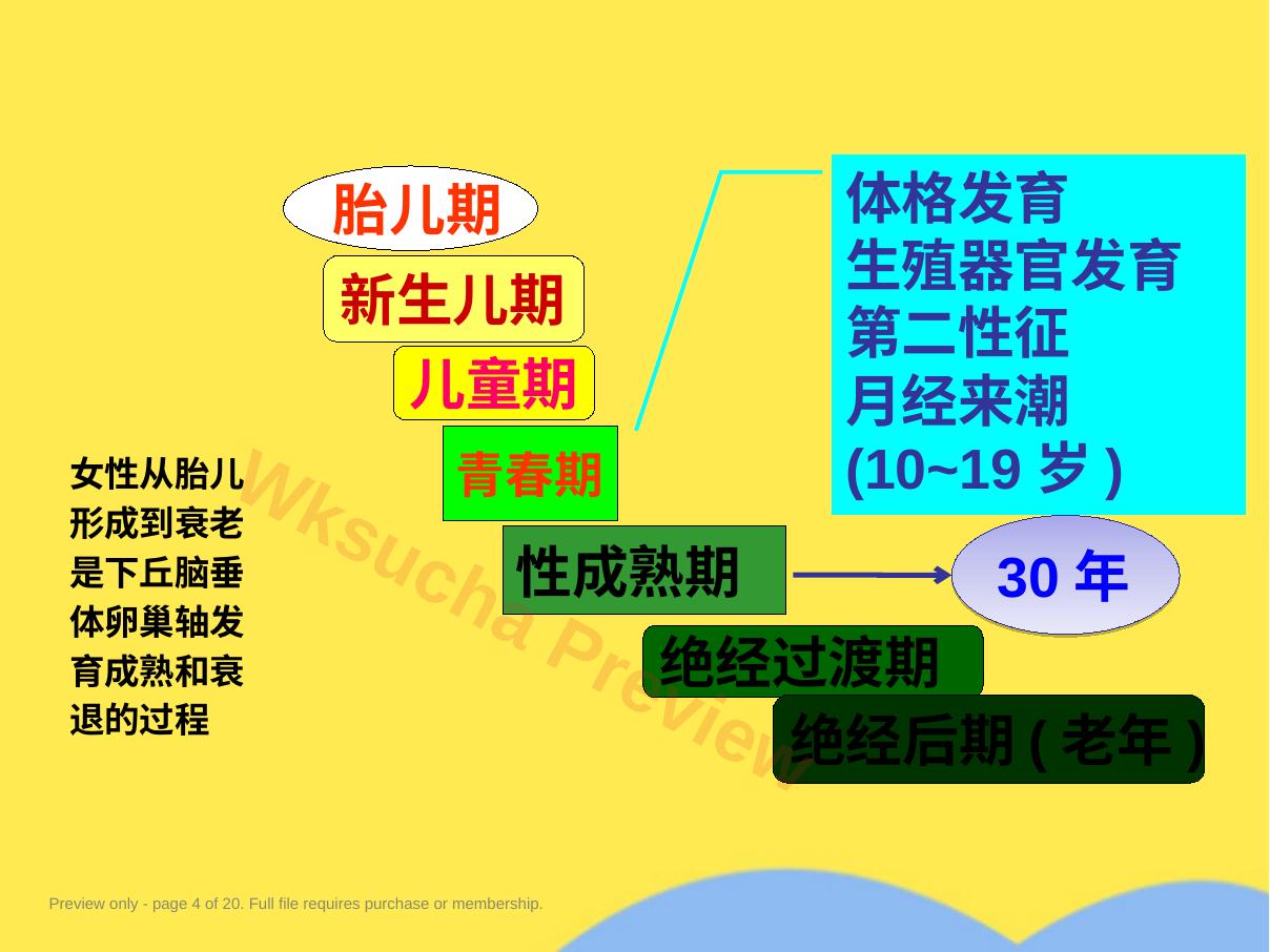 预览第 4 页