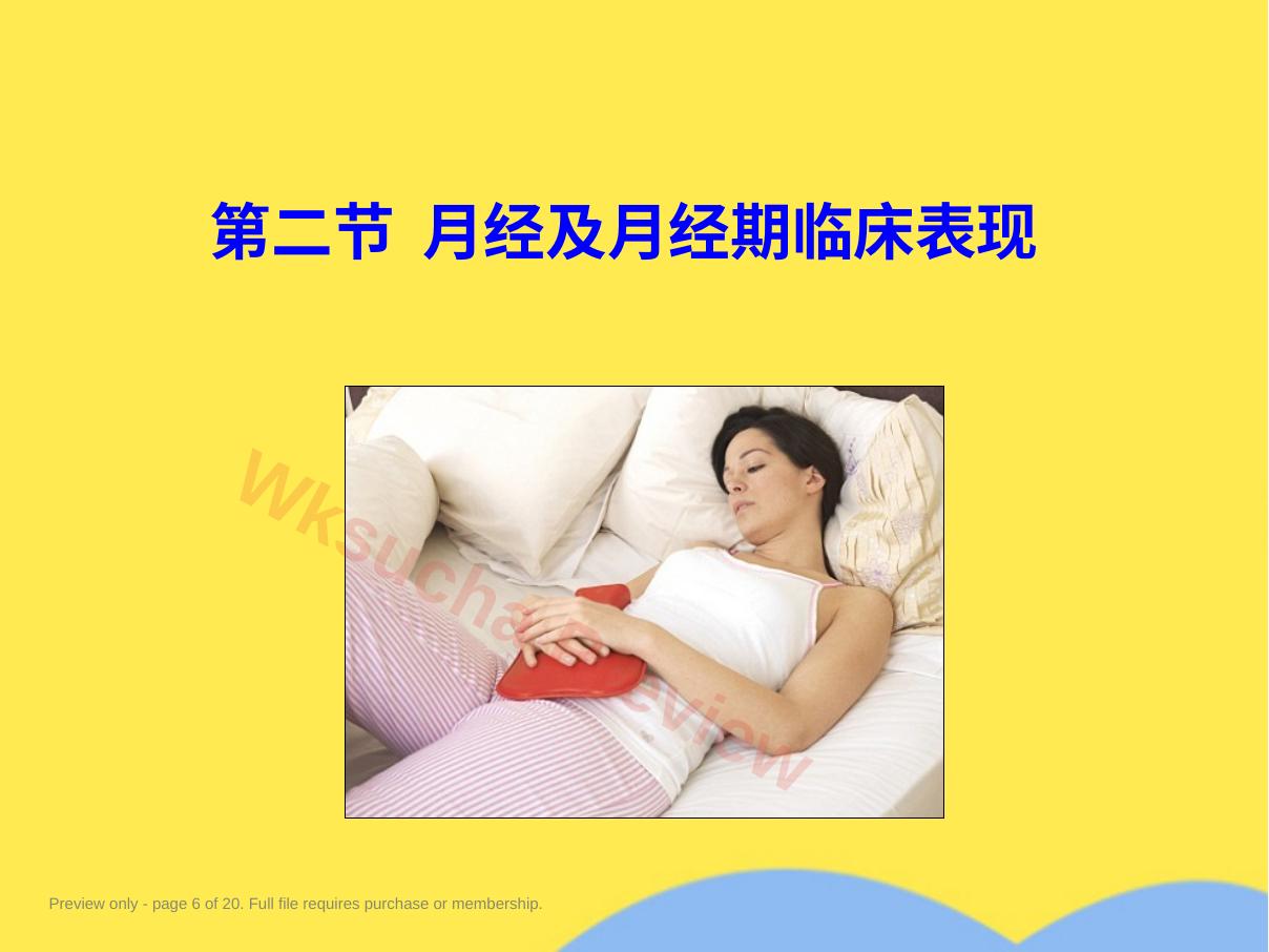 预览第 6 页