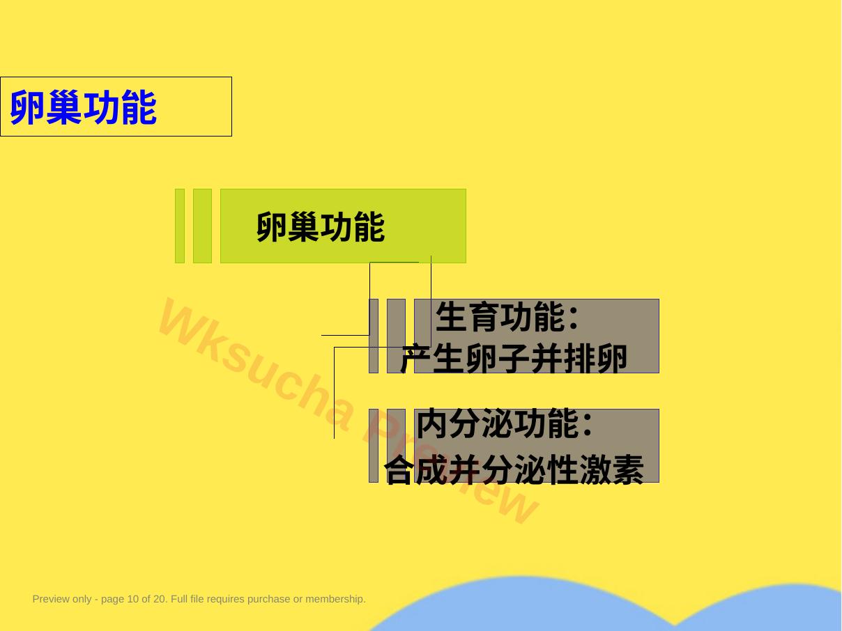 预览第 10 页
