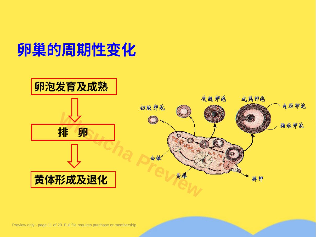 预览第 11 页