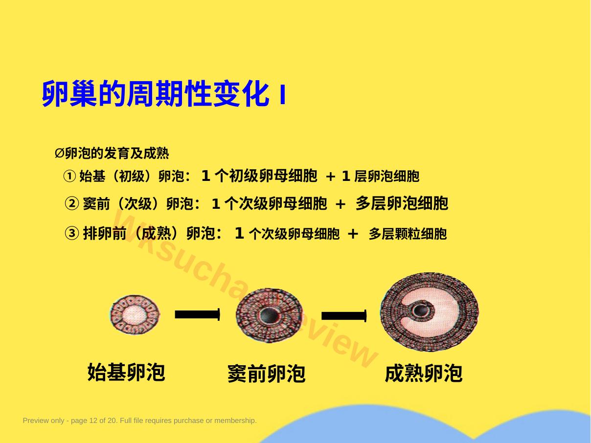 预览第 12 页