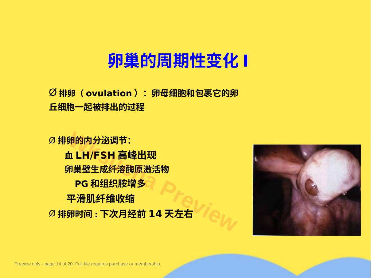 预览第 14 页