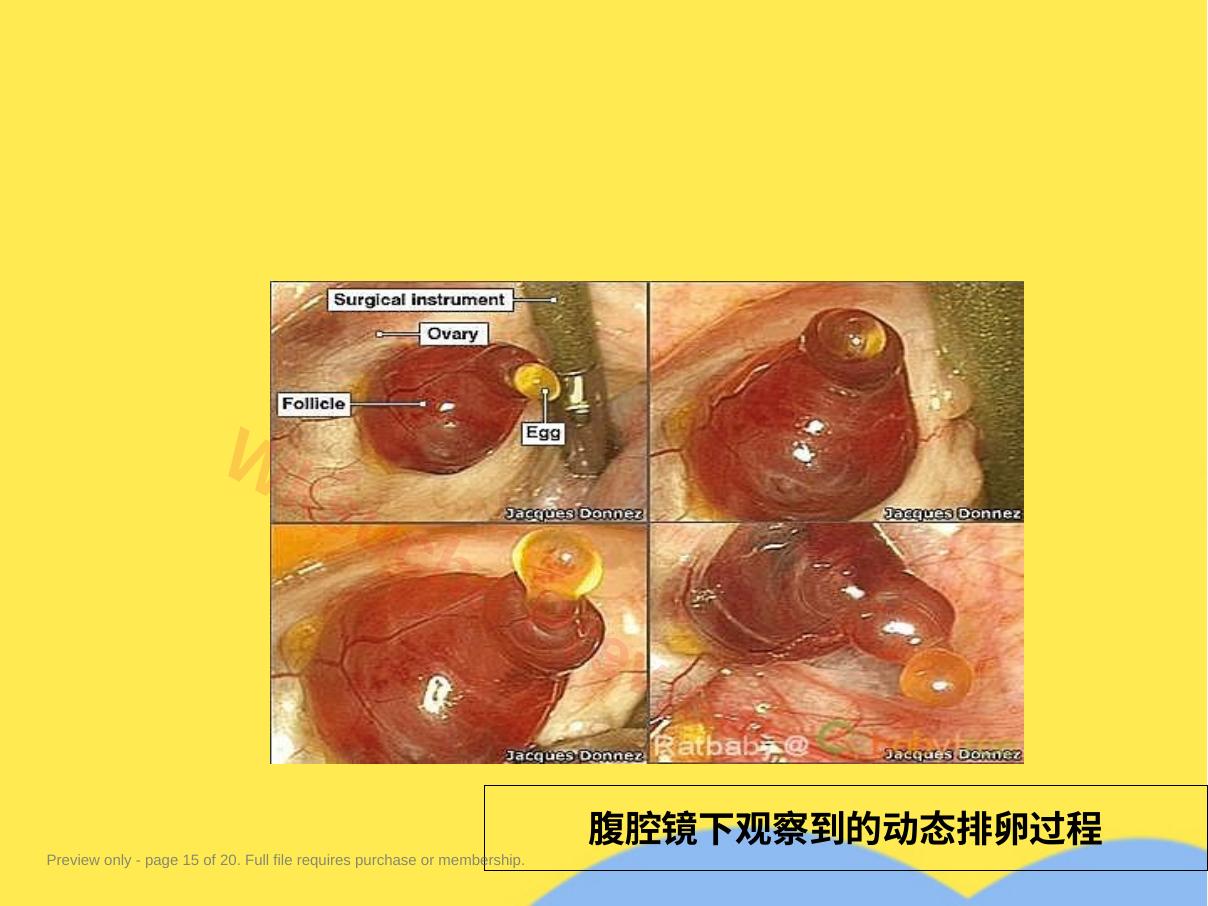 预览第 15 页