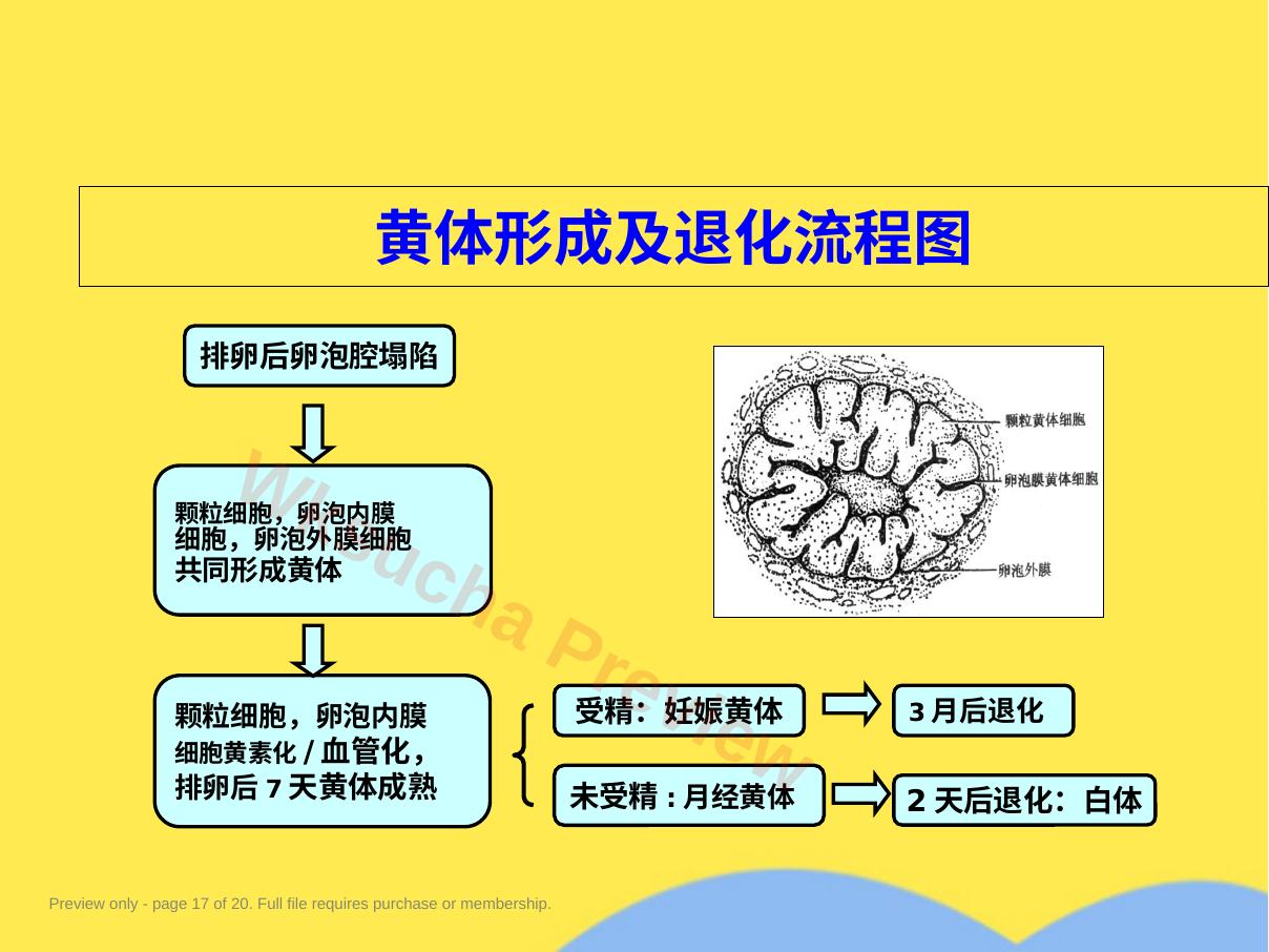 预览第 17 页