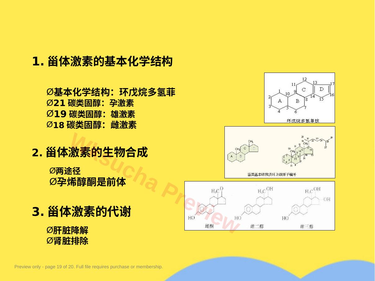 预览第 19 页