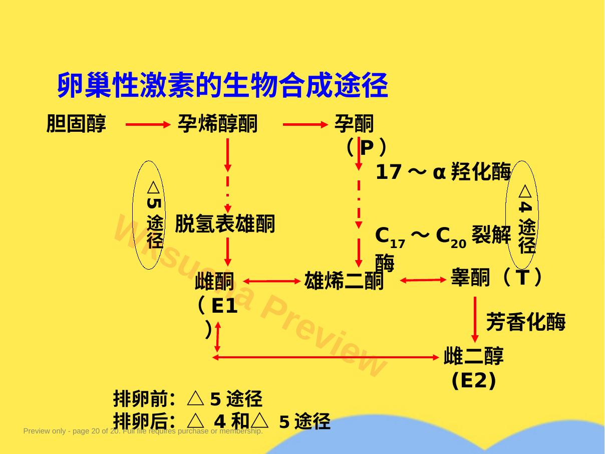 预览第 20 页